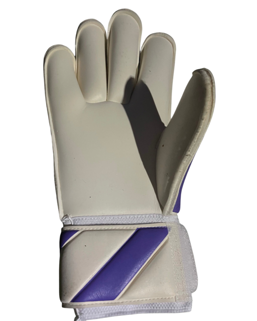 Defiance cheap goalkeeper gloves